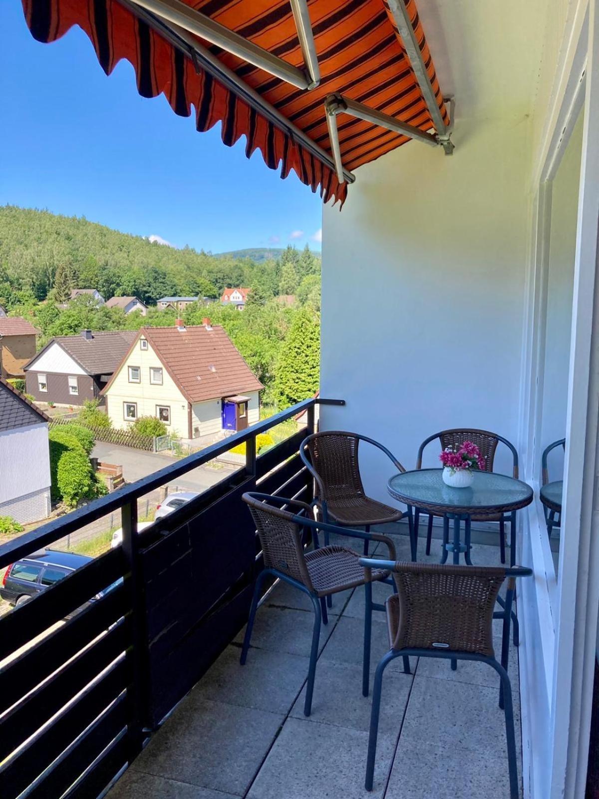 Waldglueck Apartment Wolfshagen (Lower-Saxony)